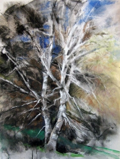 The Birch Tree
