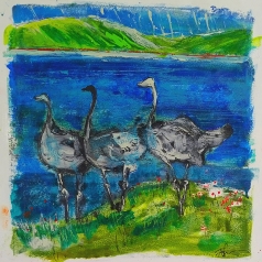 Ostriches #4
