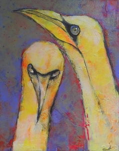 Two Gannets