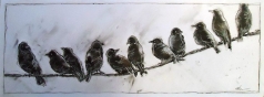 Construction Birds