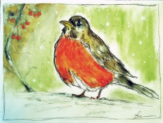 Robin in Winter