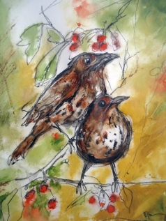 Two Thrush