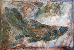 Coelacanth