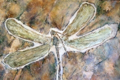 Dragonfly Dragonfly